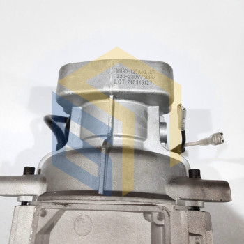 Двигатель мойки высокого давления Grunhelm GR-3100IM PROFI (106075)