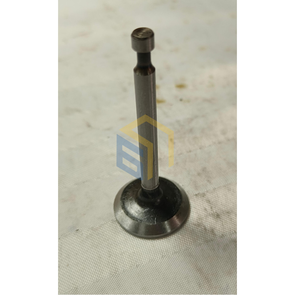 Клапан впускний 168F~170F (106459)