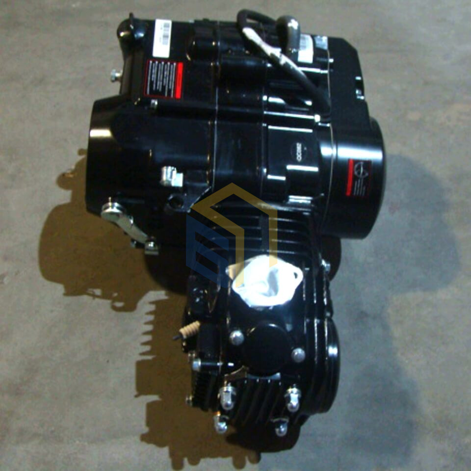 Двигун мотоцикла BSE PH10D ENDURO (110546)