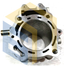 Цилиндр двигателя 926124 квадроцикла TGB Blade 550 EPS (111707-111811)