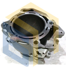 Цилиндр двигателя 926780 квадроцикла TGB Blade 600 LTX EPS (111922)