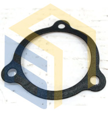 Прокладка масляного фильтра 911024 квадроцикла TGB Blade 1000 LTX EPS (113681)