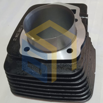 Циліндр двигуна CBB250 (170FMM) мотоцикла Forte CROSS 250, 250PRO, 300 (129034)