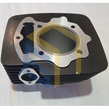 Циліндр двигуна CBB250 (170FMM) мотоцикла Forte CROSS 250, 250PRO, 300 (129034)