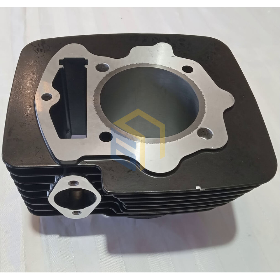 Циліндр двигуна CBB250 (170FMM) мотоцикла Forte CROSS 250, 250PRO, 300 (129034)