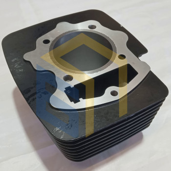 Циліндр двигуна CBB250 (170FMM) мотоцикла Forte CROSS 250, 250PRO, 300 (129034)