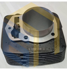 Циліндр двигуна CBB250 (170FMM) мотоцикла Forte CROSS 250, 250PRO, 300 (129034)