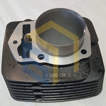 Циліндр двигуна CBB250 (170FMM) мотоцикла Forte CROSS 250, 250PRO, 300 (129034)