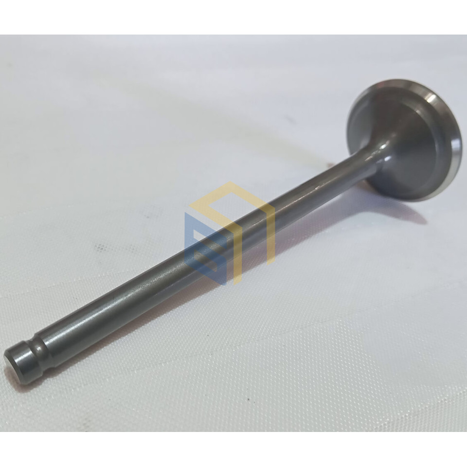 Клапан випускний двигуна CBB250 (170FMM) мотоцикла Forte CROSS 250, 250PRO, 300 (129045)