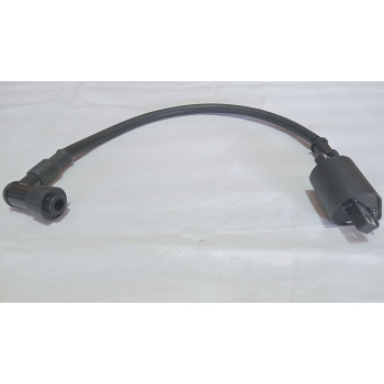 Котушка запалювання у зборі мотоцикла Forte CROSS 250, 250PRO, 300 (129127)