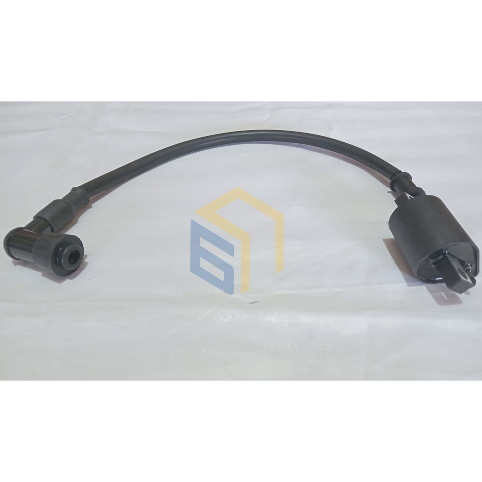 Котушка запалювання у зборі мотоцикла Forte CROSS 250, 250PRO, 300 (129127)