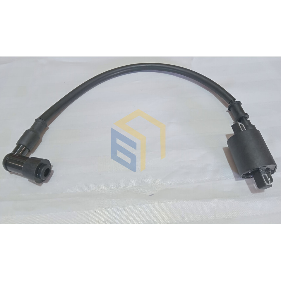 Котушка запалювання у зборі мотоцикла Forte CROSS 250, 250PRO, 300 (129127)