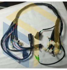 Джгут проводів квадроцикла Forte Shark II 125150 (129255)