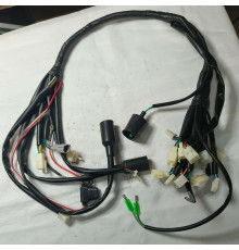 Джгут проводів квадроцикла Forte Shark II 125150 (129255)