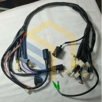 Джгут проводів квадроцикла Forte Shark II 125150 (129255)