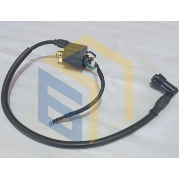 Котушка запалювання у зборі мотоцикла Forte ALFA NEW FT125-RX (131472)