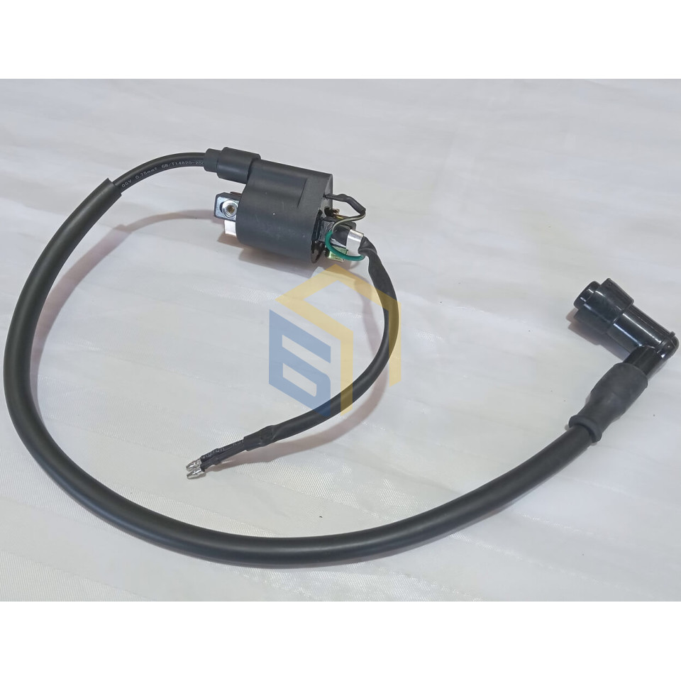 Котушка запалювання у зборі мотоцикла Forte ALFA NEW FT125-RX (131472)