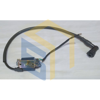 Котушка запалювання у зборі мотоцикла Forte ALFA NEW FT125-RX (131472)