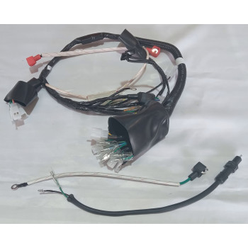 Дроти мотоцикла мотоцикла Forte ALFA NEW FT125-RX (131474)