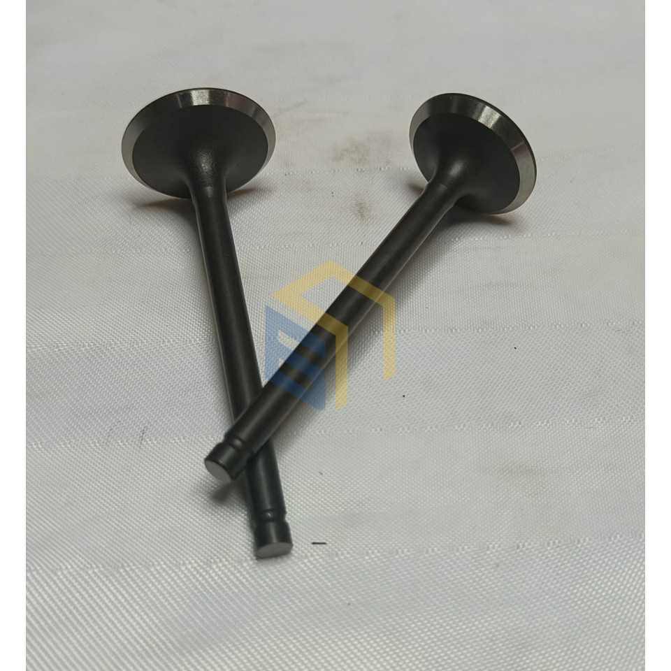 Комплект клапанів культиватора Forte 500 (132695)