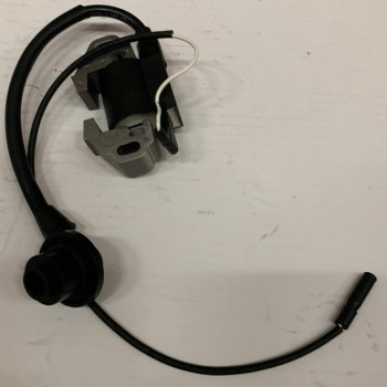 Котушка запалювання генератора інверторного Forte FG4500iE (134748)