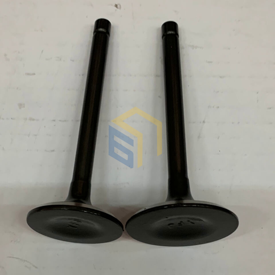 Клапана комплект (впуск+выпуск) генератора бензинового Forte FG10000E (134763)