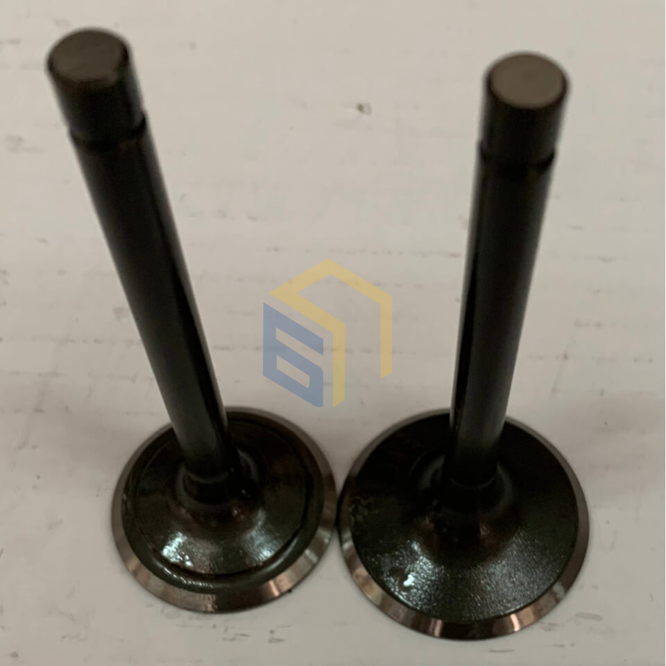 Клапана комплект (впуск+выпуск) генератора бензинового Forte FG10000E (134763)