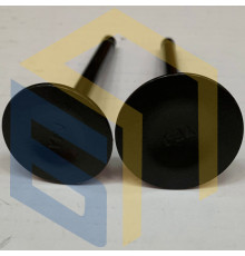 Клапана комплект (впуск+выпуск) генератора бензинового Forte FG10000E (134763)