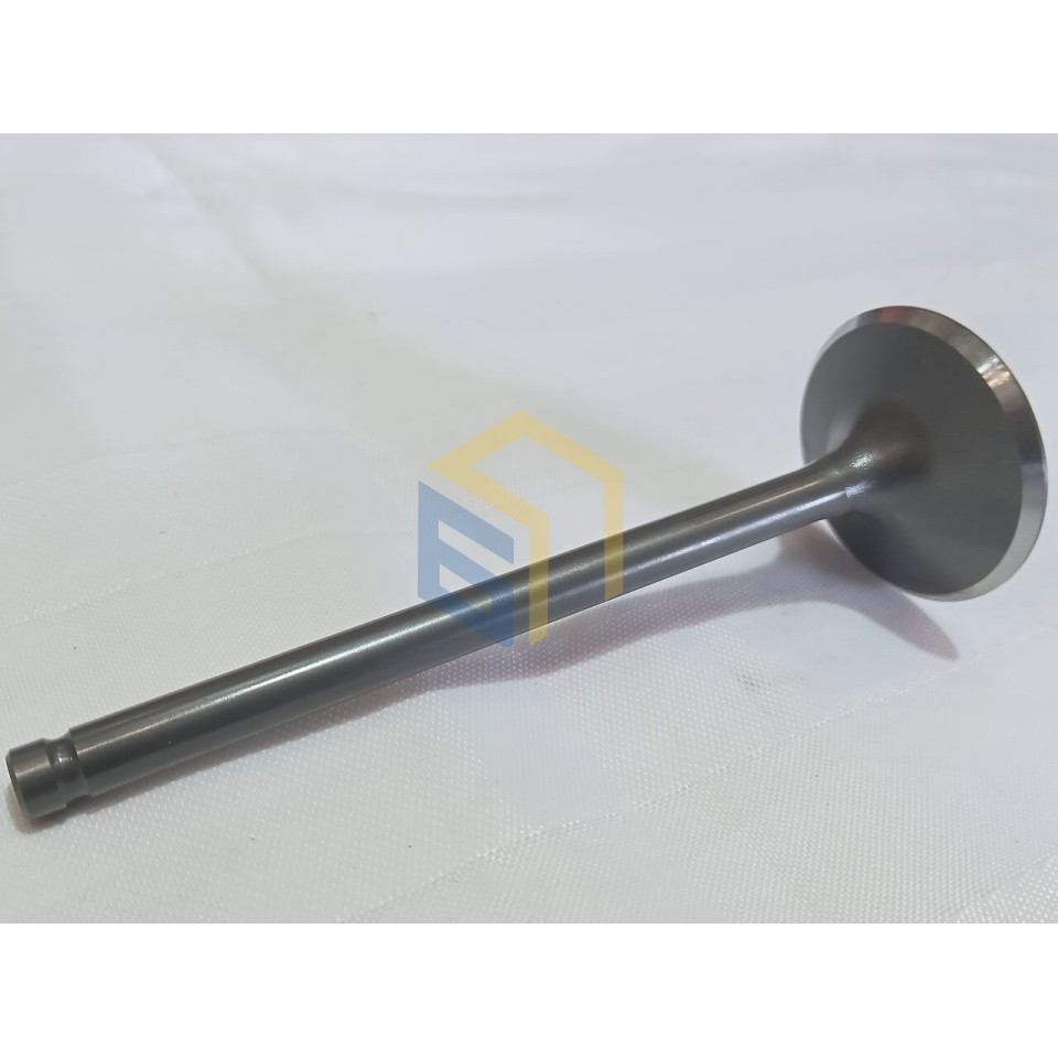 Клапан впускний двигуна CBB250 (170FMM) мотоцикла Forte CROSS 250, 250PRO, 300 (136133)