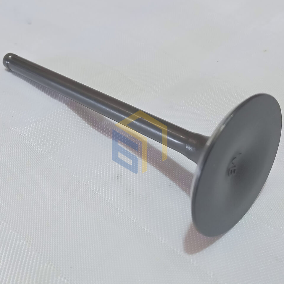 Клапан впускний двигуна CBB250 (170FMM) мотоцикла Forte CROSS 250, 250PRO, 300 (136133)