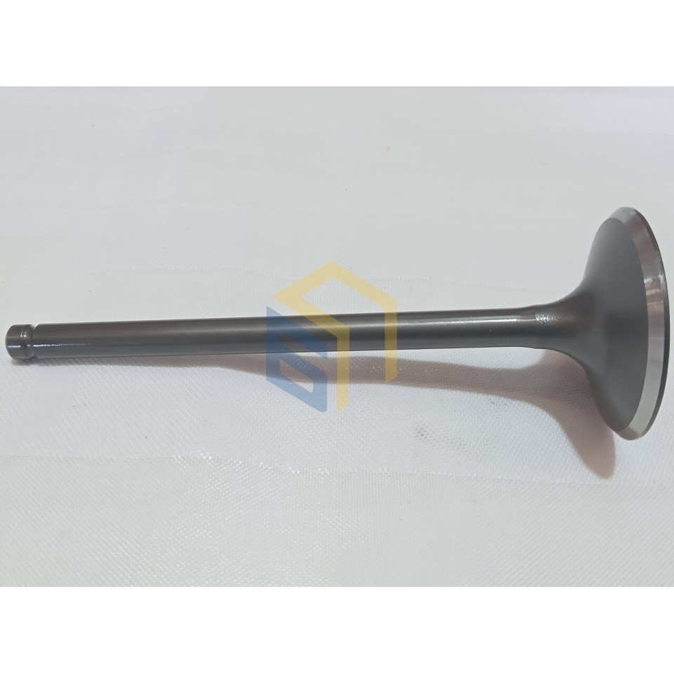 Клапан впускний двигуна CBB250 (170FMM) мотоцикла Forte CROSS 250, 250PRO, 300 (136133)