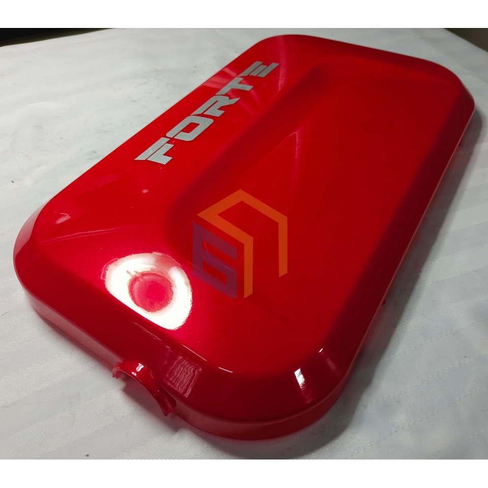 Спинка електроскутера FORTE FAMILY (137021)