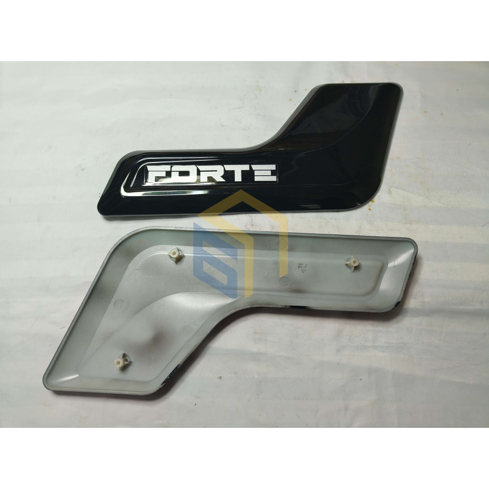Пластик передній (пара) електроскутера FORTE FAMILY (137048)