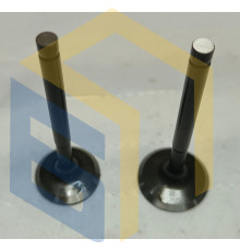 Комплект клапанів генератора інверторного Forte FG2500i (138155)