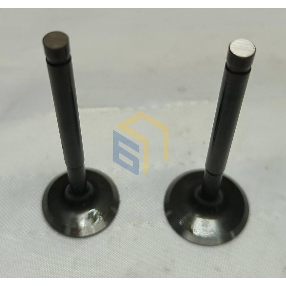 Комплект клапанів генератора інверторного Forte FG2500i (138155)