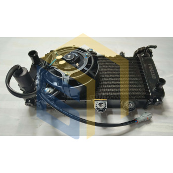 Радіатор двигуна мотоцикла Forte FT300-F6P (139652)