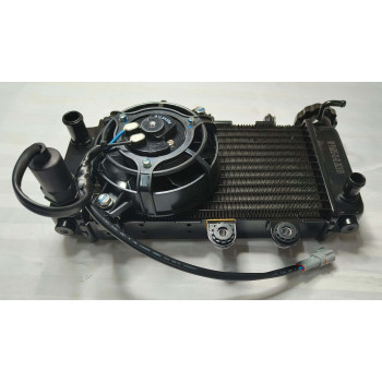 Радіатор двигуна мотоцикла Forte FT300-F6P (139652)