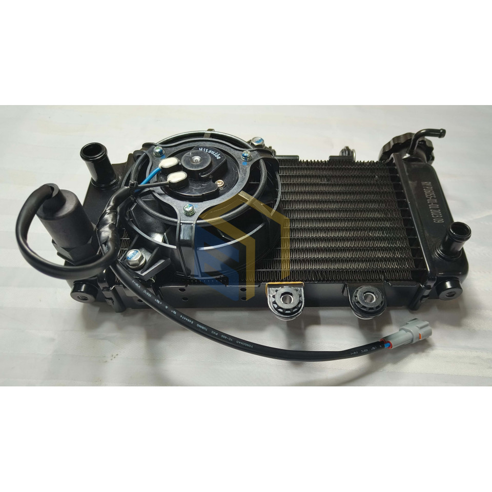 Радіатор двигуна мотоцикла Forte FT300-F6P (139652)