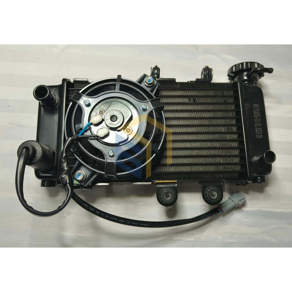 Радіатор двигуна мотоцикла Forte FT300-F6P (139652)