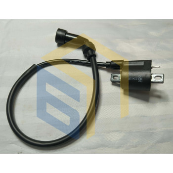 Котушка запалювання мотоцикла Forte FT250-X6 (140009)