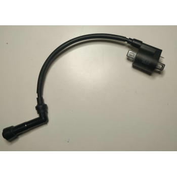 Котушка запалювання мотоцикла ZONSEN CARRERA 250,300 (140462 )