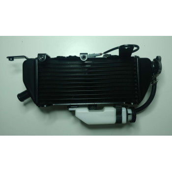 Радіатор правий мотоцикла CYCLONE RX3 (140477)