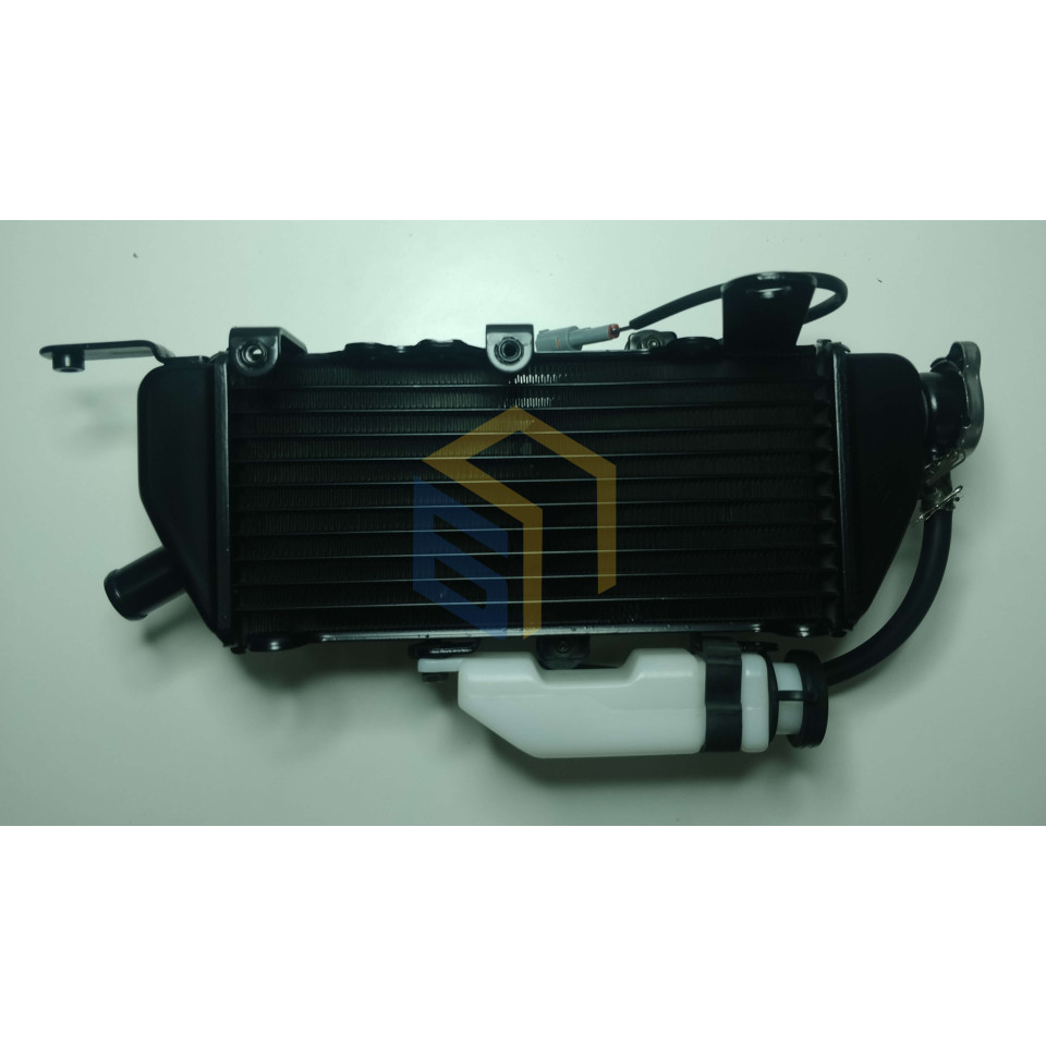 Радіатор правий мотоцикла CYCLONE RX3 (140477)