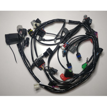 Джгут проводів мотоцикла CYCLONE RX3 (140497)