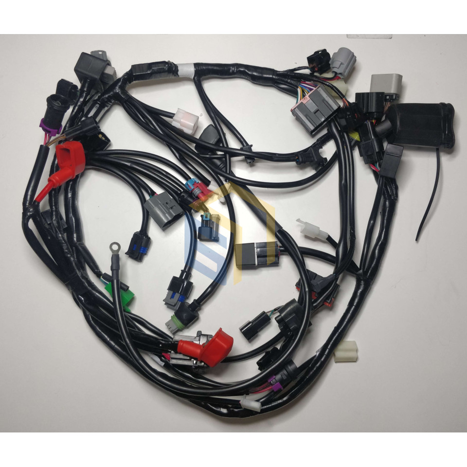 Джгут проводів мотоцикла CYCLONE RX3 (140497)