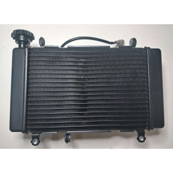 Радіатор в зборі мотоцикла CYCLONE RX401 (140564)
