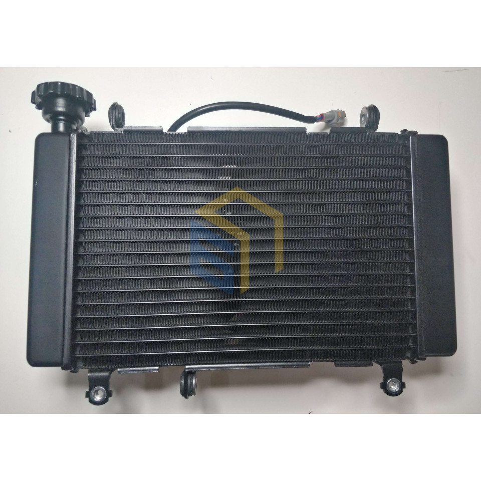 Радіатор в зборі мотоцикла CYCLONE RX401 (140564)