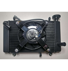 Радіатор в зборі мотоцикла CYCLONE RX401 (140564)