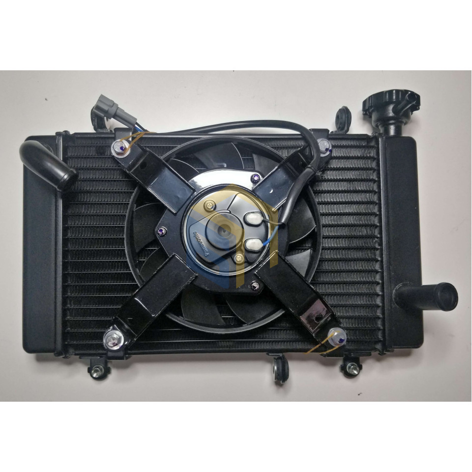 Радіатор в зборі мотоцикла CYCLONE RX401 (140564)