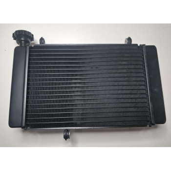 Вентилятор радіатора мотоцикла CYCLONE RX401 (140565)